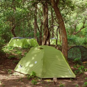 tent camping in the forest