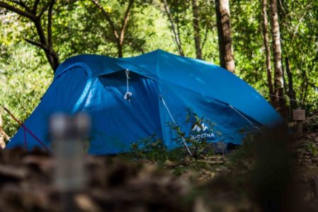 tent camping in the forest